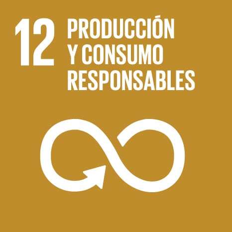 12 Produccion Y Consumo Responsables